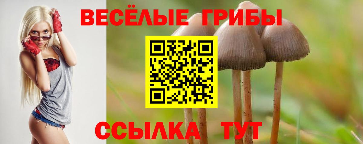 Галлюциногенные грибы Psilocybine cubensis Рославль